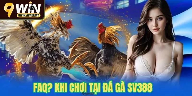 FAQ? Khi tham gia chơi đá gà SV388