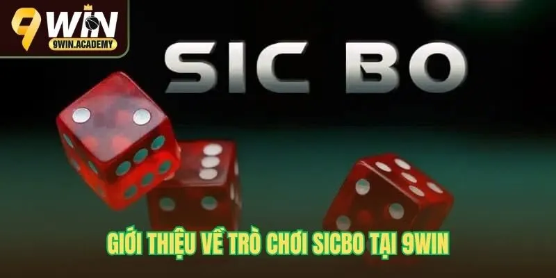 Giới thiệu về trò chơi sicbo tại 9win