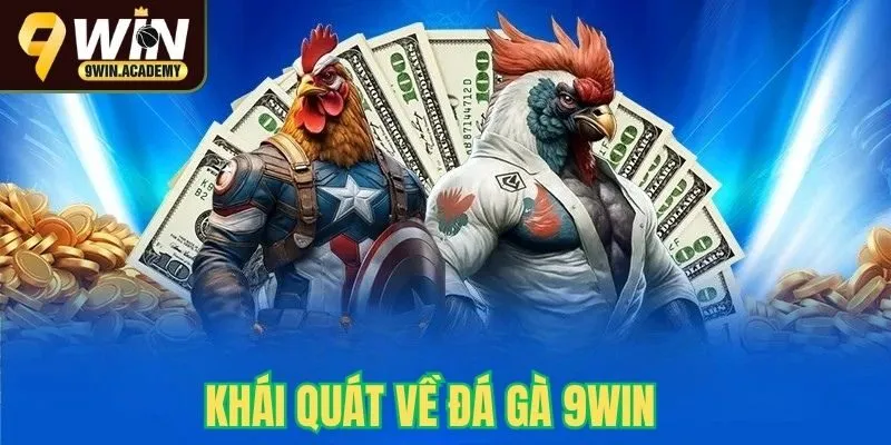 Khái quát về đá gà 9win