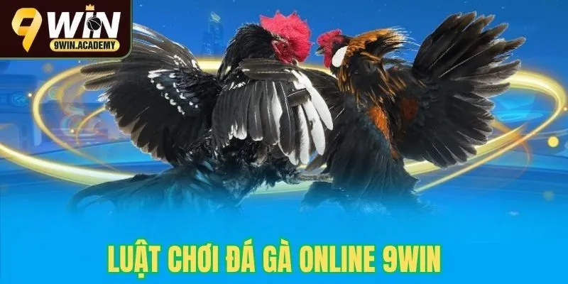 Luật chơi đá gà online tại 9win