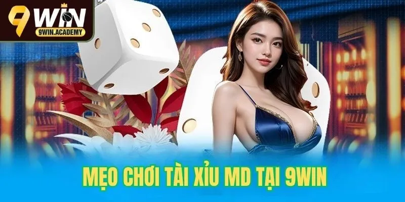 Mẹo chơi tài xỉu hiệu quả tại 9win