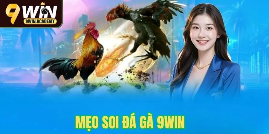 Mẹo Soi Đá Gà 9Win