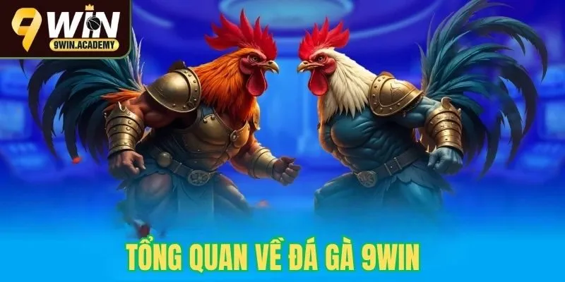 Tổng quan về sân chơi đá gà 9win